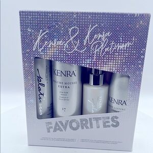 Platinum Hair Care Set - Silver